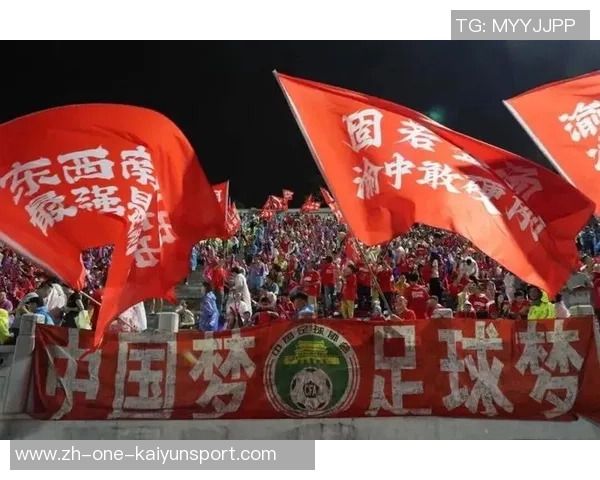 足球观众哦：探讨球迷文化与激情对比赛氛围的影响与意义